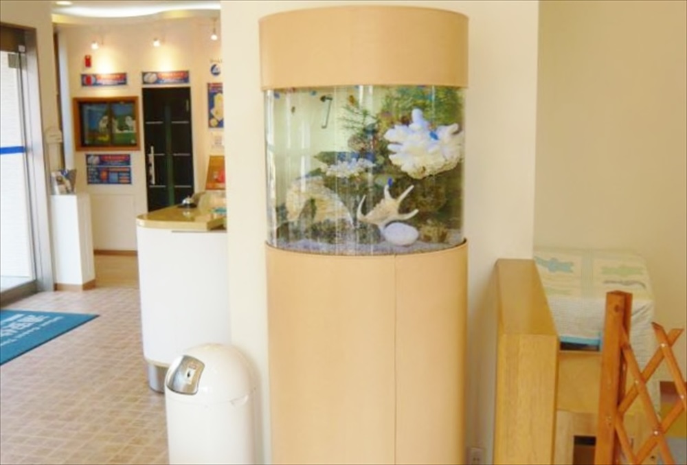 住宅展示場様に45cm円柱水槽を設置しました メイン画像