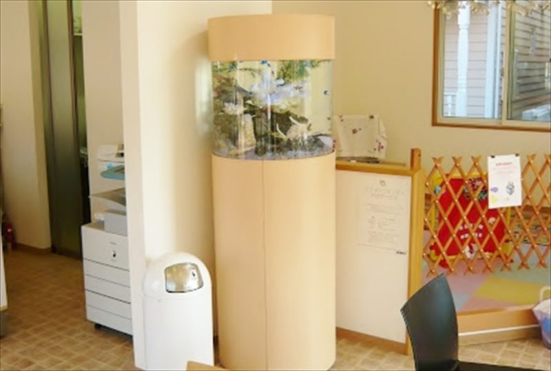 住宅展示場様に45cm円柱水槽を設置しました 水槽画像2