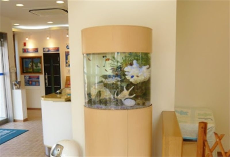 住宅展示場様に45cm円柱水槽を設置しました 水槽画像1