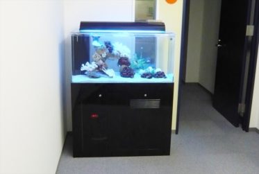 渋谷区オフィス様に90cm海水魚水槽を設置しました