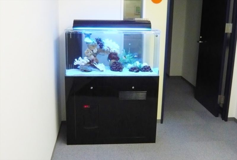 渋谷区オフィス様に90cm海水魚水槽を設置しました 水槽画像1