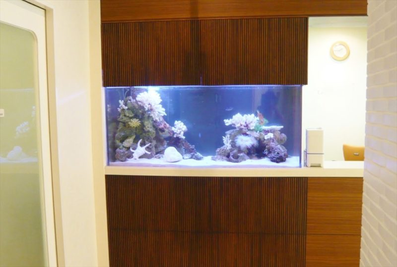 浦安市産婦人科様に150cm海水魚水槽を設置しました 水槽画像1
