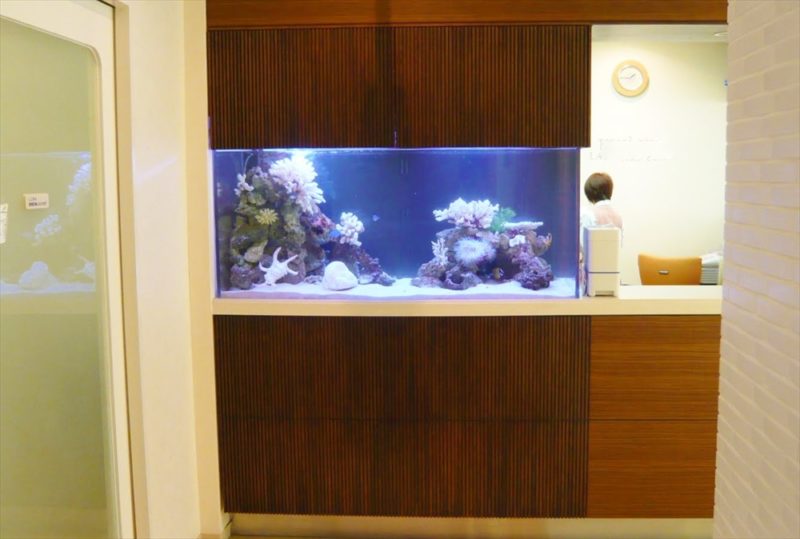 浦安市産婦人科様に150cm海水魚水槽を設置しました 水槽画像2