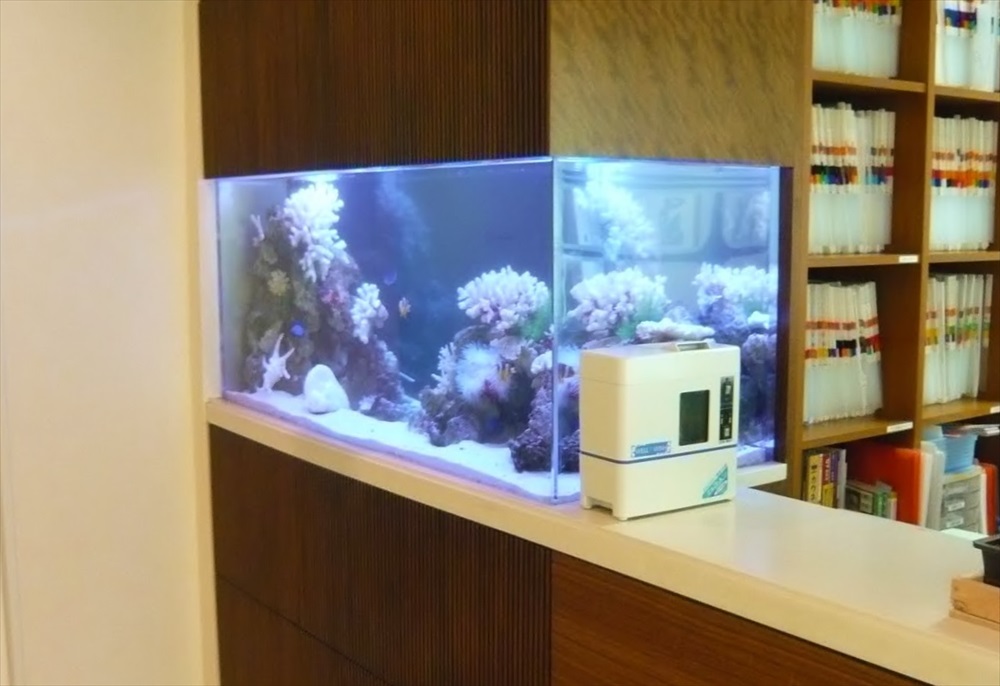 浦安市産婦人科様に150cm海水魚水槽を設置しましたのサムネイル画像
