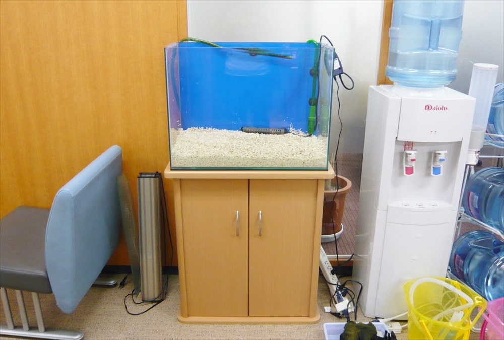 ウォーターサーバー横に設置された底砂入りの水槽と水槽台
