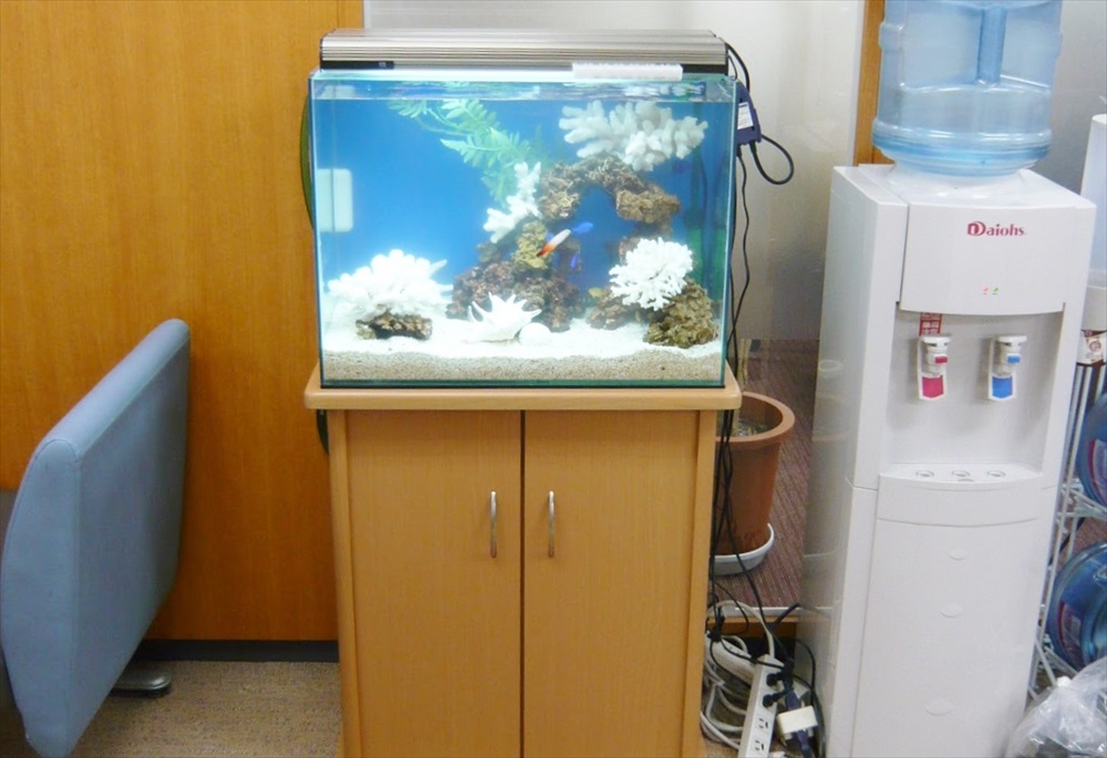 ウォーターサーバー横に設置された海水魚水槽と水槽台