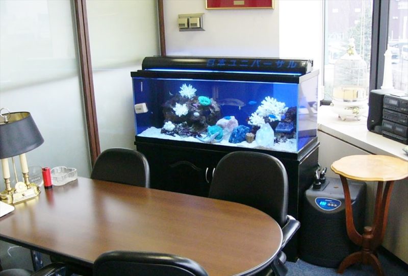 法律事務所様に90cm海水魚水槽を設置しました 水槽画像2