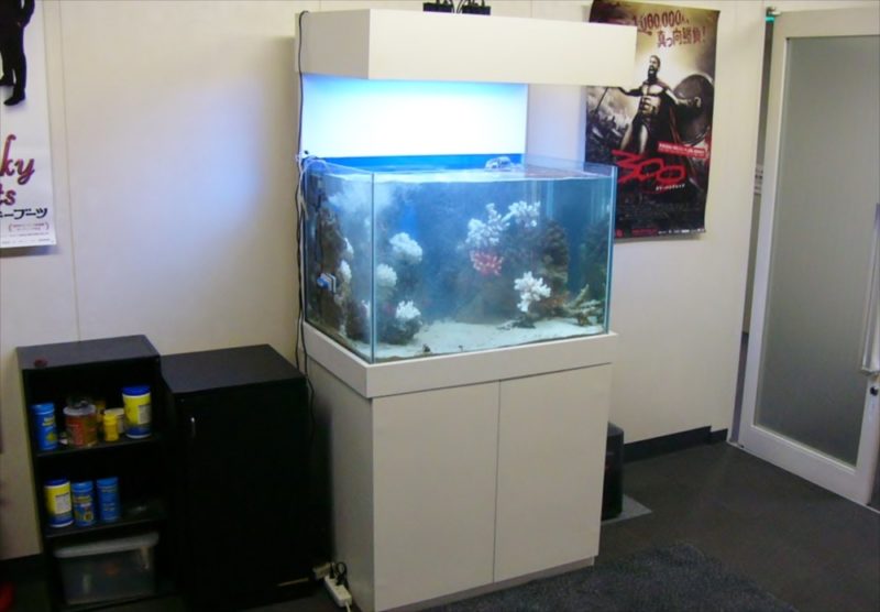 ネオ・インデックス様 120cm海水魚水槽をメンテナンス 水槽画像2