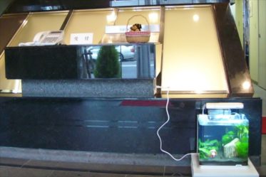 ニューロング精密工業様に30cm淡水水槽を設置しました