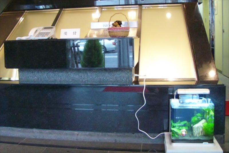 ニューロング精密工業様に30cm淡水水槽を設置しました 水槽画像1