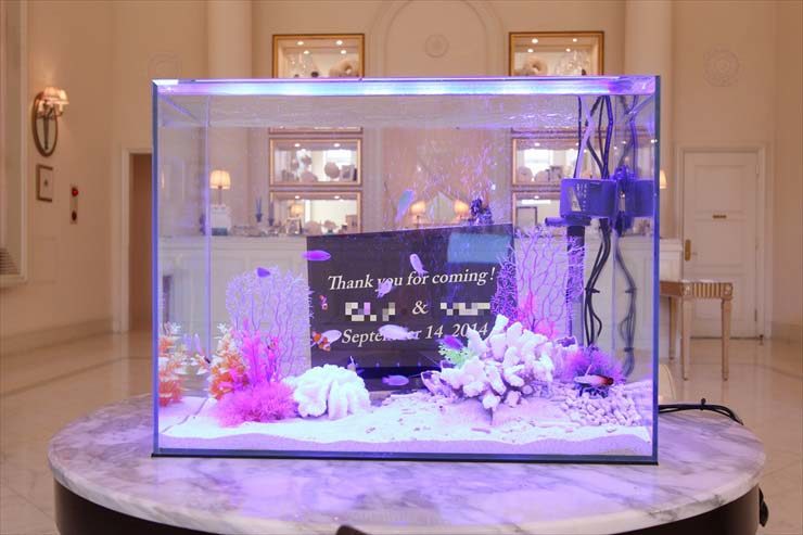 メッセージボード入りのウェディング海水魚水槽