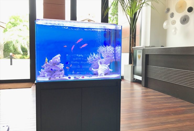 青い背景にサンゴと海水魚が泳ぐ受付の海水魚水槽
