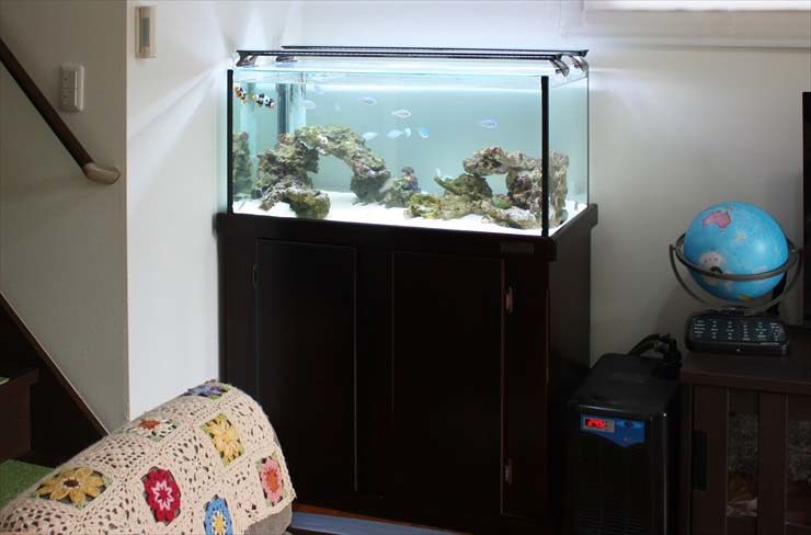 リビングに設置された海水魚水槽と岩のレイアウト