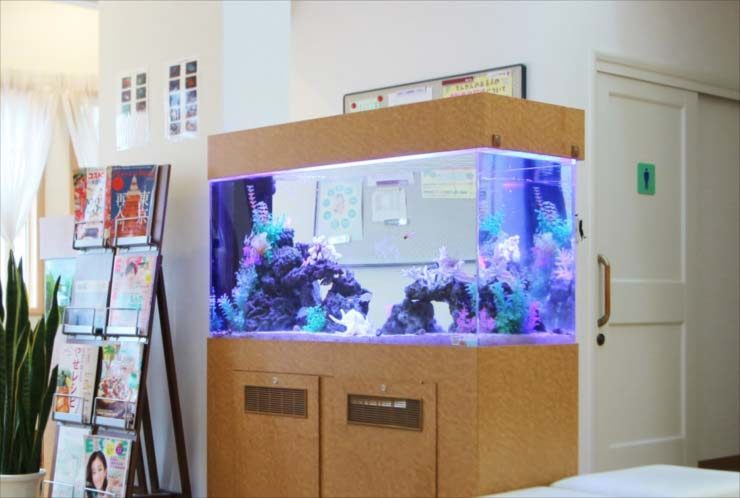 待合室に設置された木目調台の大型海水魚風水槽