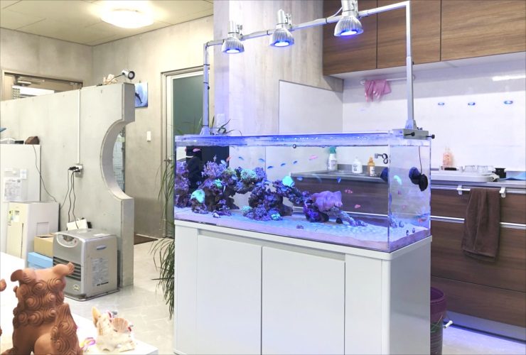 神奈川県　オフィス事務所　120cm海水魚・サンゴ水槽　レンタル事例