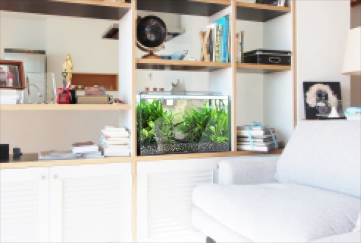 リビングの棚に設置された水草水槽と白いソファの室内風景