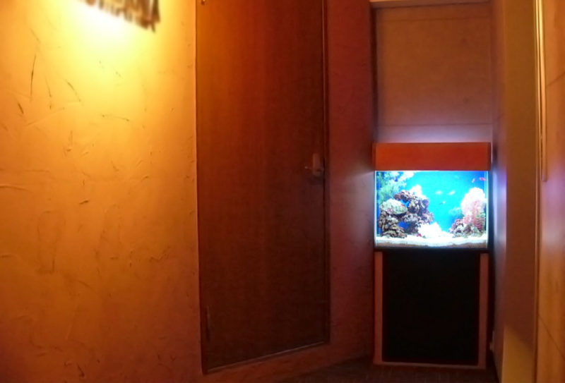 豊島区店舗様 エントランスに60cm海水魚水槽を設置 水槽画像2