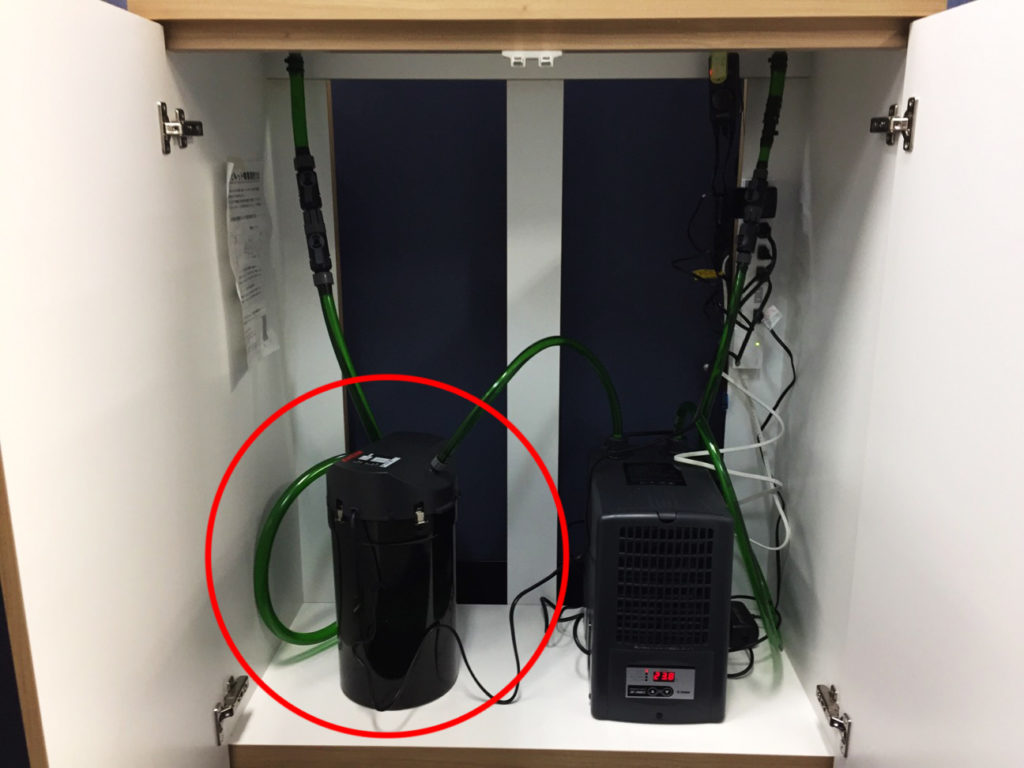 水槽台内に設置された外部式フィルターと水槽用クーラー