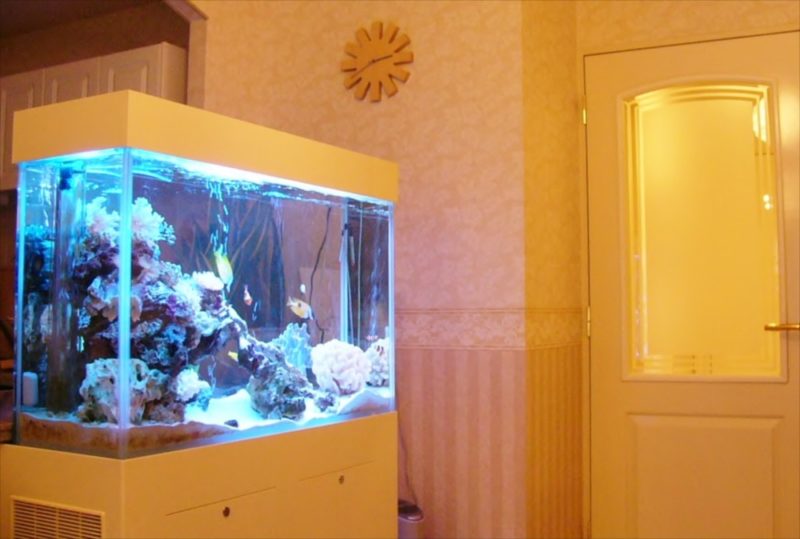 新宿区個人宅様 60cmサンゴ水槽を設置 水槽画像1