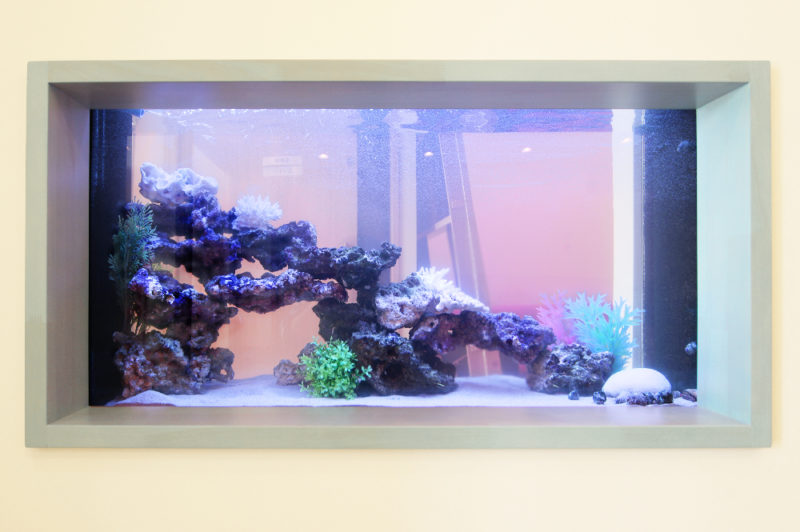 つむぎこどもクリニック様 120cm海水+30cm淡水水槽 レンタル設置事例 水槽画像2