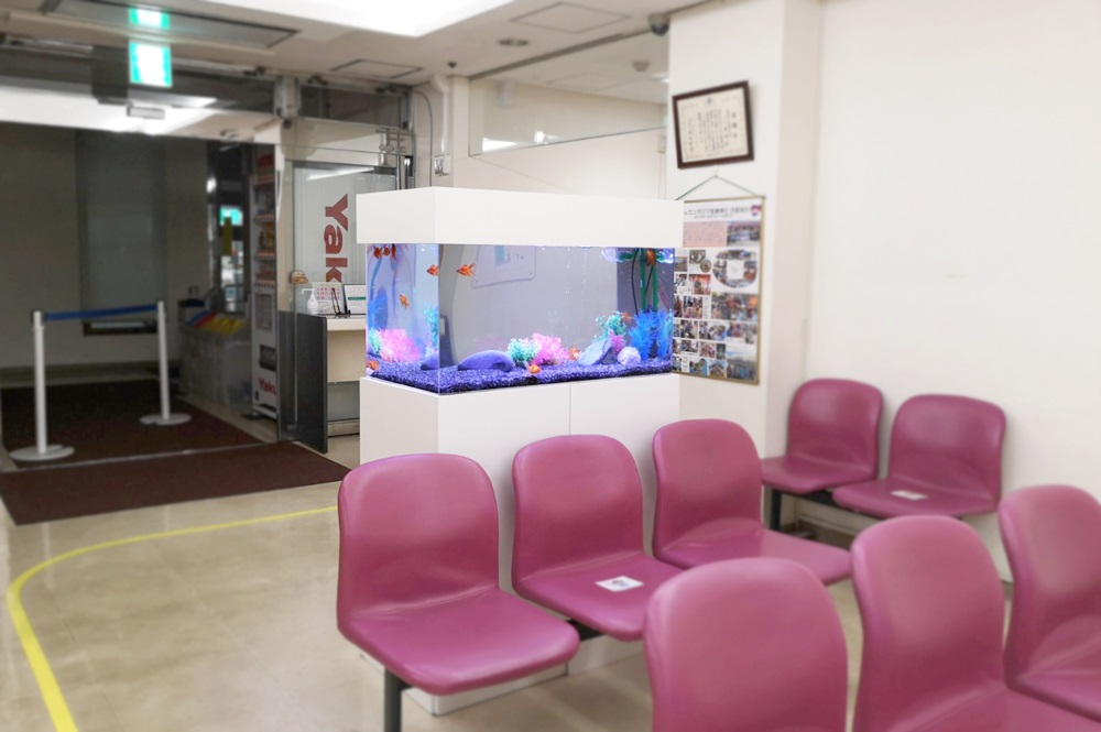 待合室の椅子と白い水槽台に設置された熱帯魚水槽