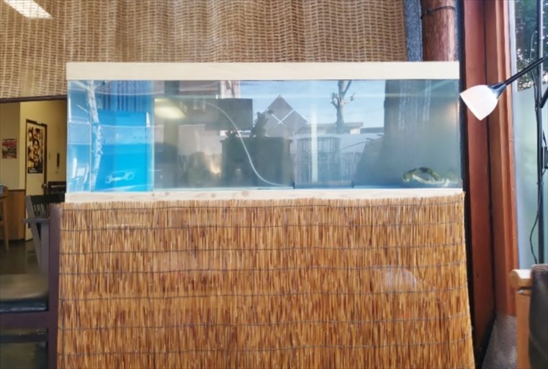 鮨割烹うめむら 様　活魚水槽　スポットメンテナンス 水槽画像４