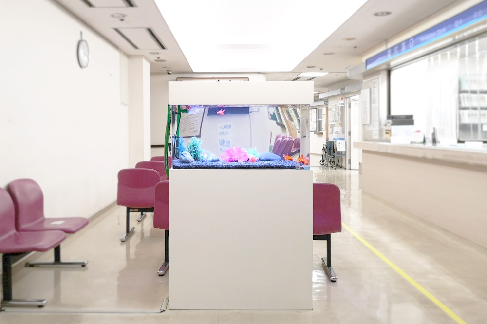 病院の待合室　90cm金魚水槽　アップ画像