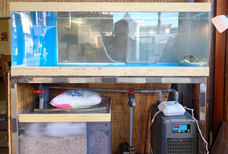 鮨割烹うめむら 様　活魚水槽　スポットメンテナンス 水槽画像５