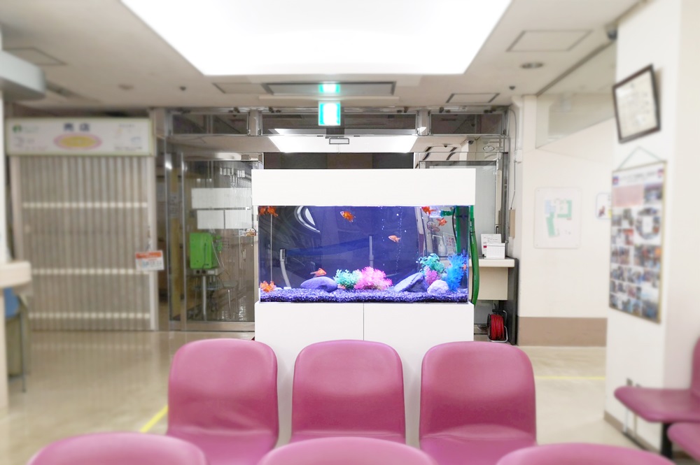 病院の待合室　90cm金魚水槽　正面アップ画像