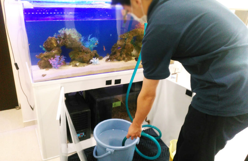 練馬区 皮膚科小児科の待合室 120cm海水魚水槽 リース事例 その後 水槽画像3