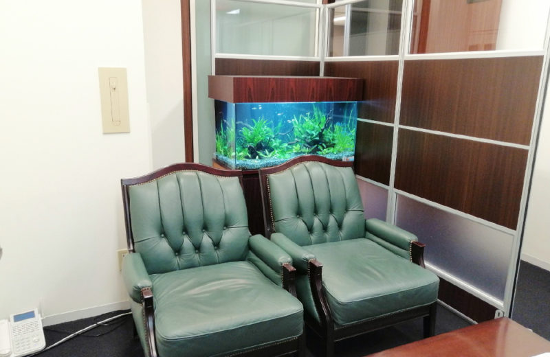 株式会社イー・ブレーン様 90cm淡水魚水槽 レンタル事例 水槽画像5