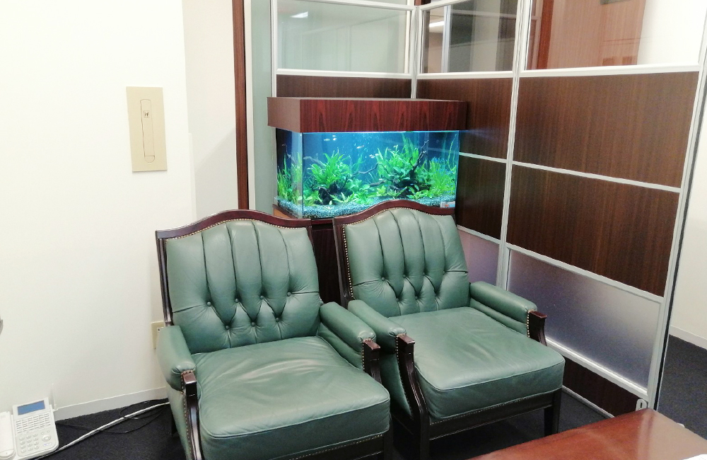 応接室のソファ背面に設置された水草熱帯魚水槽