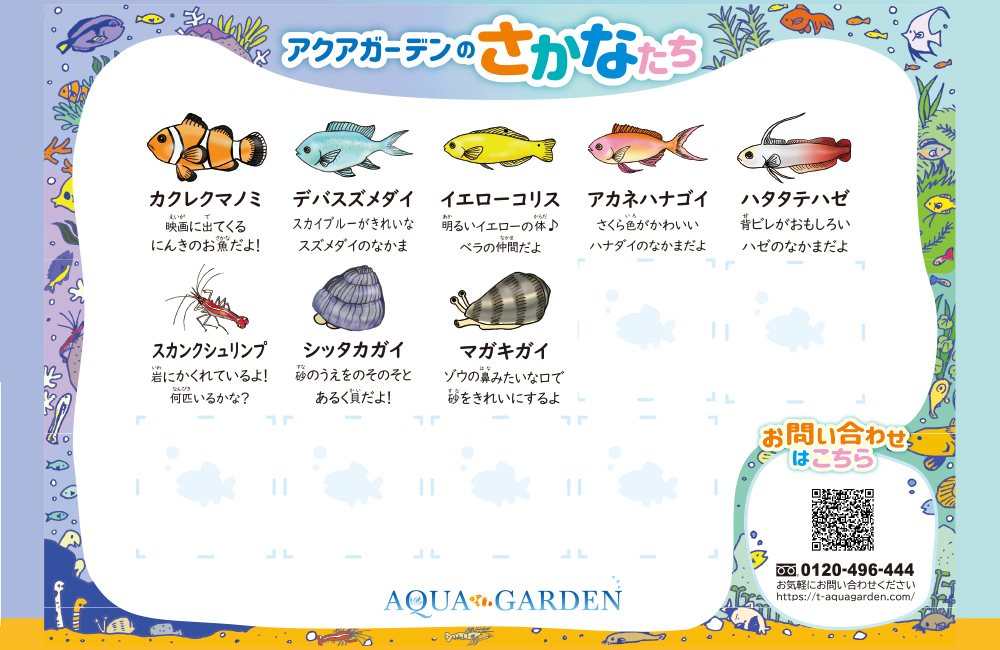 アクアガーデンのさかなたちの文字と海水魚のイラスト群
