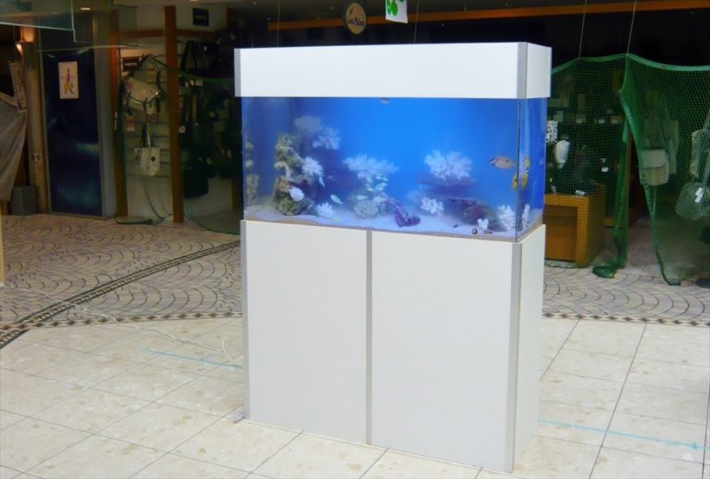 千葉県商業施設 様に120cm海水魚水槽を設置しました 水槽画像1