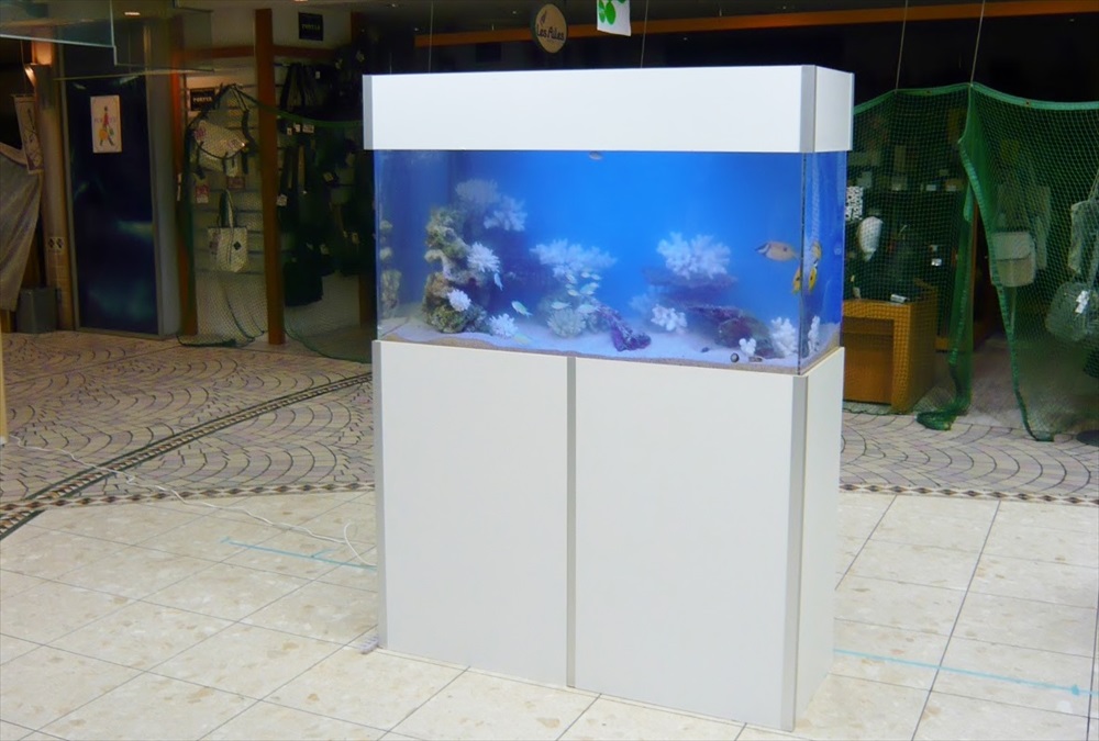 千葉県商業施設 様に120cm海水魚水槽を設置しました