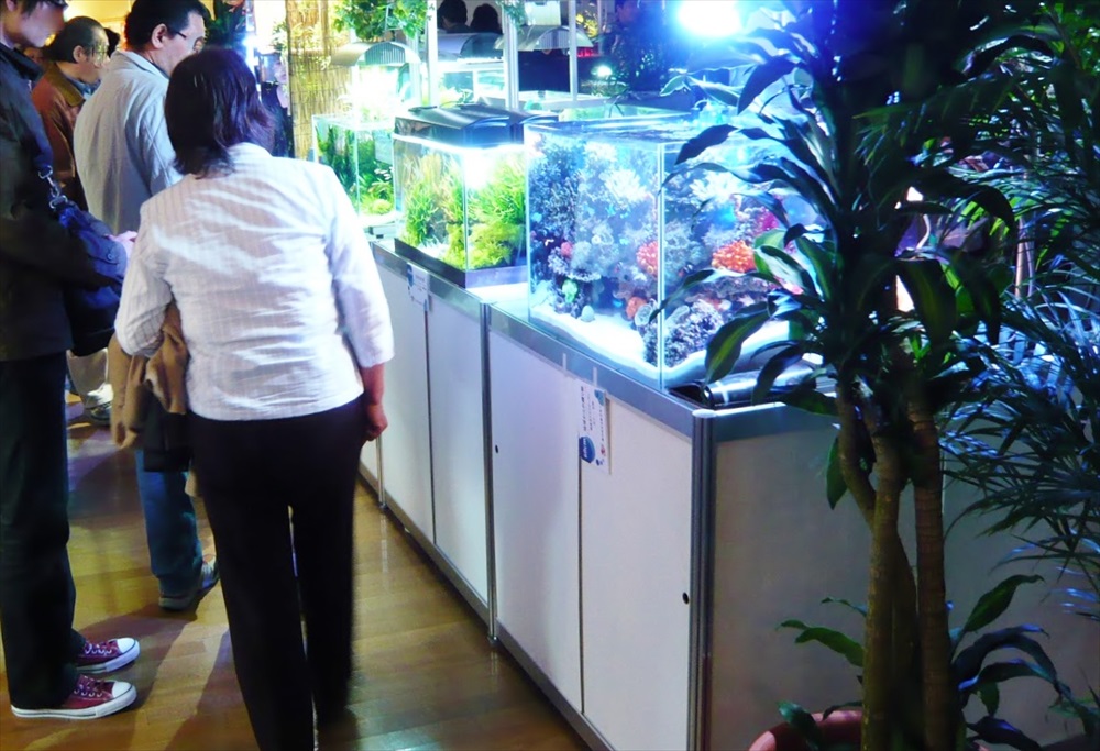 展示会場に並ぶ複数の水槽と鑑賞する人々