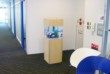 オリコン株式会社様に45cm海水魚水槽を設置しました