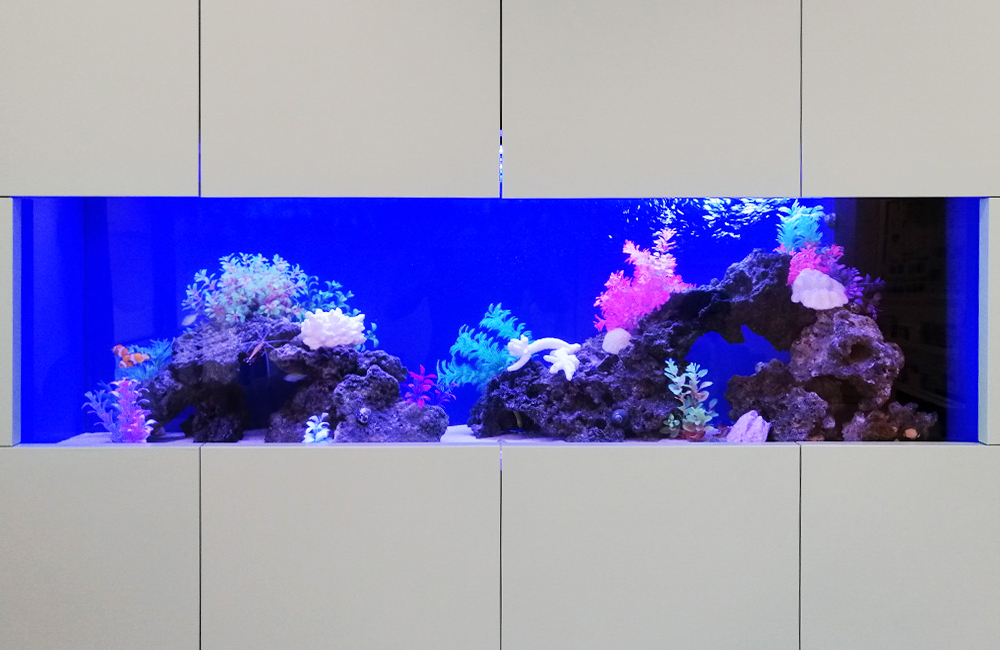 白い壁面をラグジュアリーに彩る、150cmの大型海水魚水槽（優しいブルーが映える、ファミリークリニックの大型海水魚水槽）