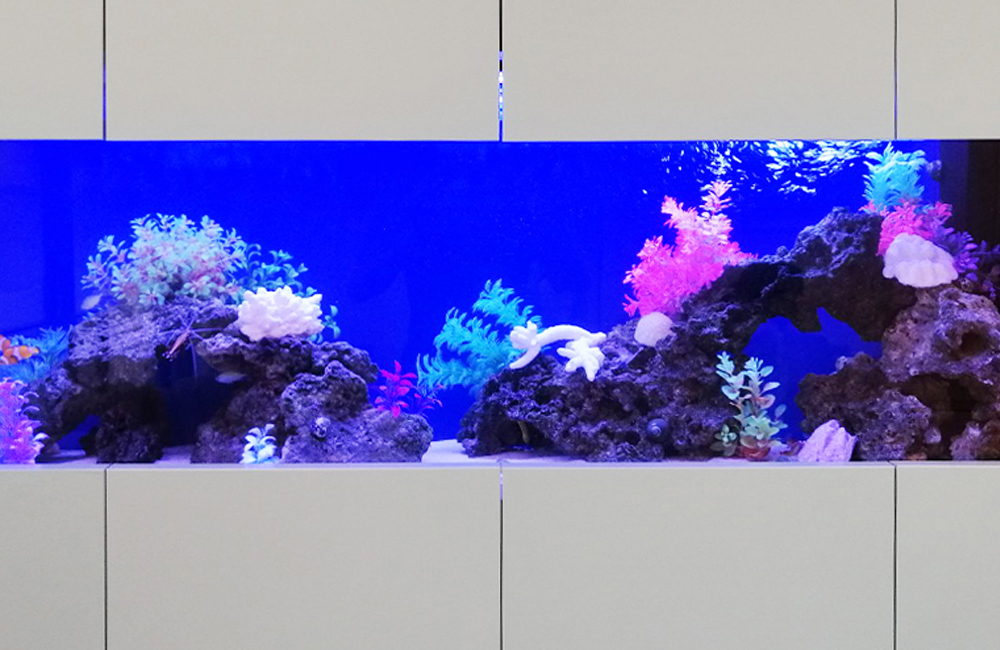 青い背景に岩とカラフルな人工水草を配置した大型水槽