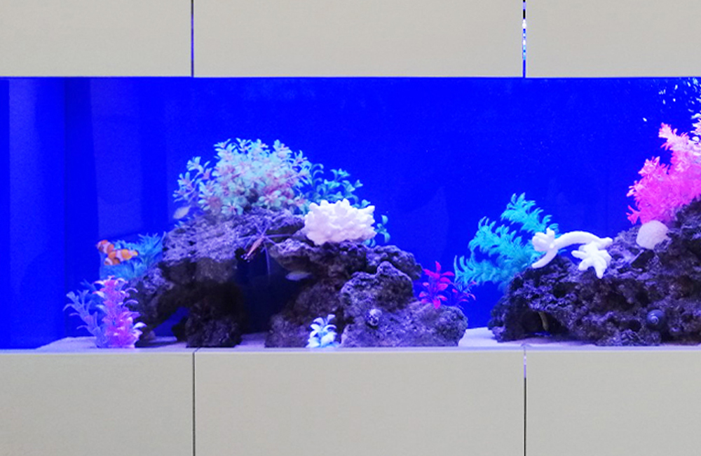 青い背景に岩と人工水草を配置した海水魚水槽のレイアウト