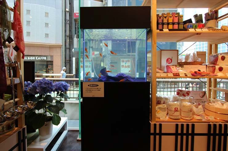 店舗内に設置された金魚が泳ぐ黒い水槽台の大型水槽