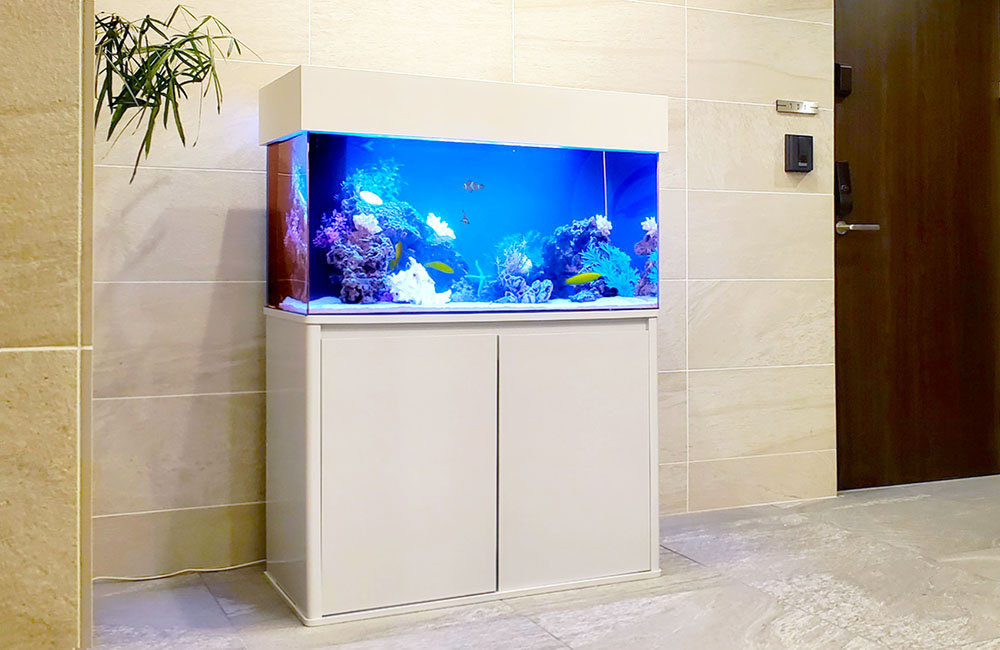 個人宅様 90cm海水魚水槽 レンタル事例 その後のサムネイル画像