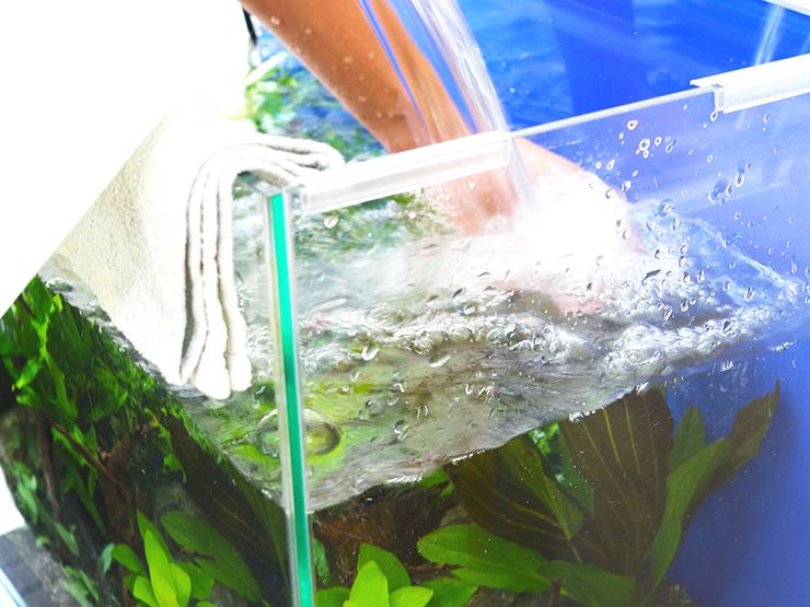 水草水槽へ注水する手元と水面に置かれたタオル