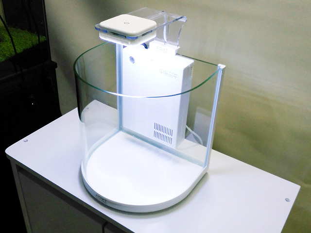 LEDライト付きの白い小型曲げガラス水槽