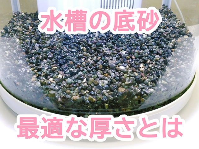 水槽の底砂の最適な厚さとはの文字が入った見出し画像