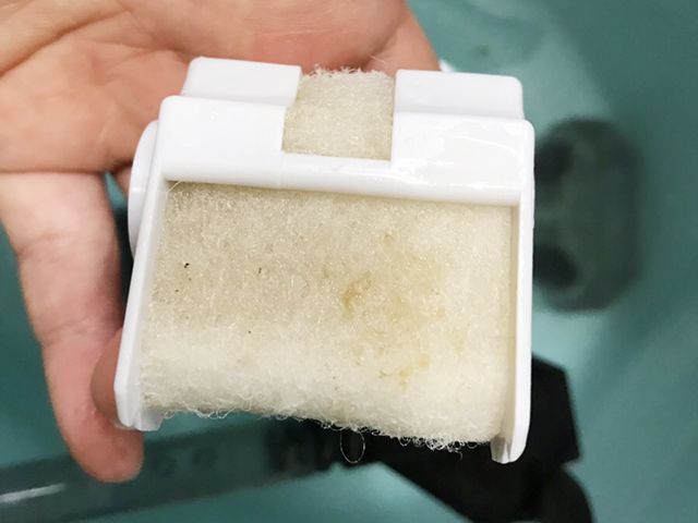 手に持った白いプラスチック枠付きのろ過用スポンジマット