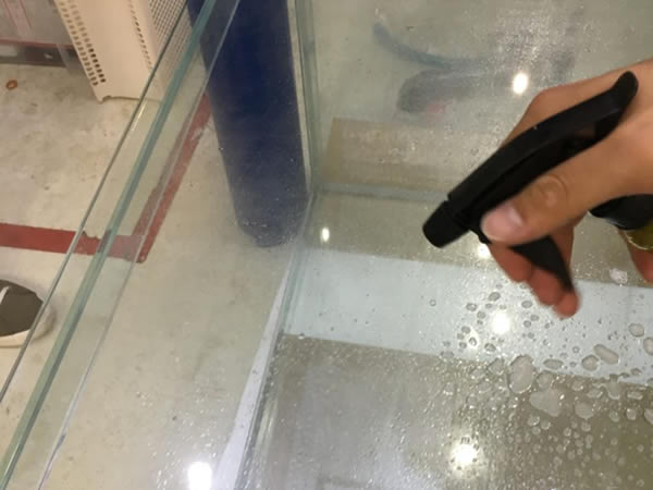 霧吹きで水槽のガラス面に水を吹きかける手元