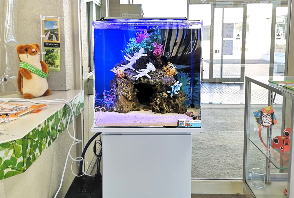 岩組と造花を配置した青い背景の海水魚水槽