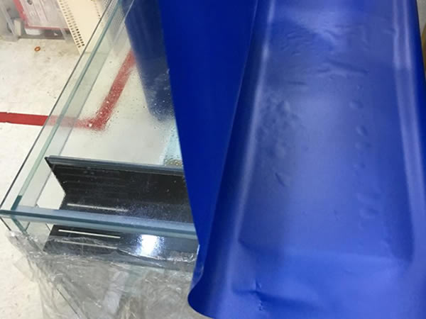 ガラス水槽の背面に青いバックスクリーンを貼る作業