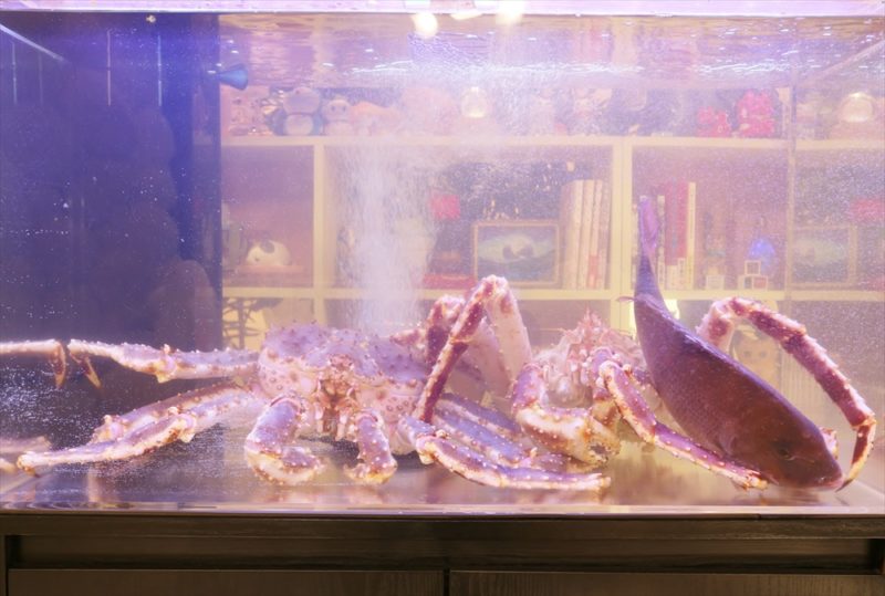 テレビ朝日『マツコ＆有吉 かりそめ天国』活魚水槽短期レンタル 水槽画像３